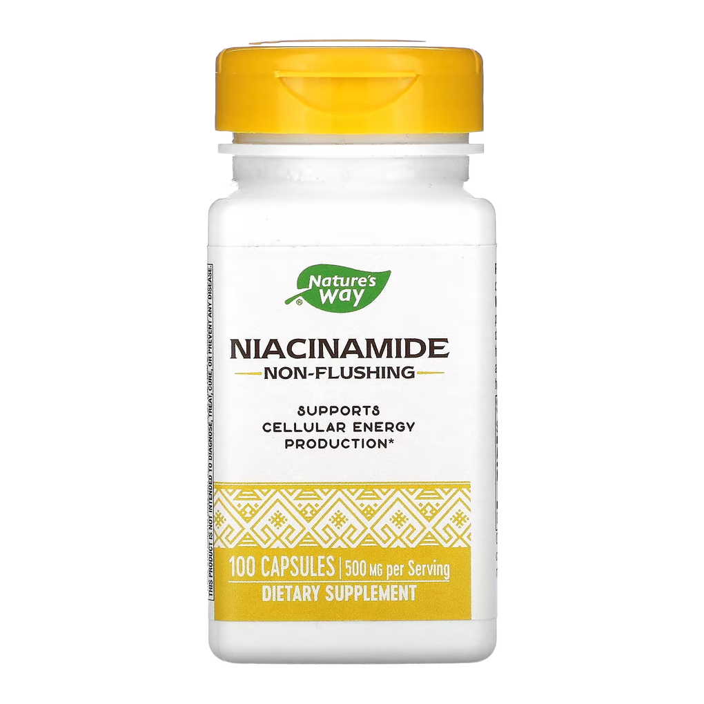 Nature's Way, Niacinamide, Non-Flushing, 500 mg / 100 Capsules